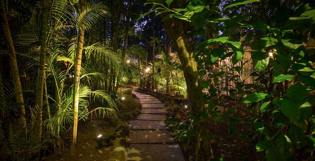 Ishanya- Pathway